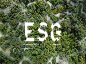Nachhaltigkeit - Die Drei Säulen Des ESG